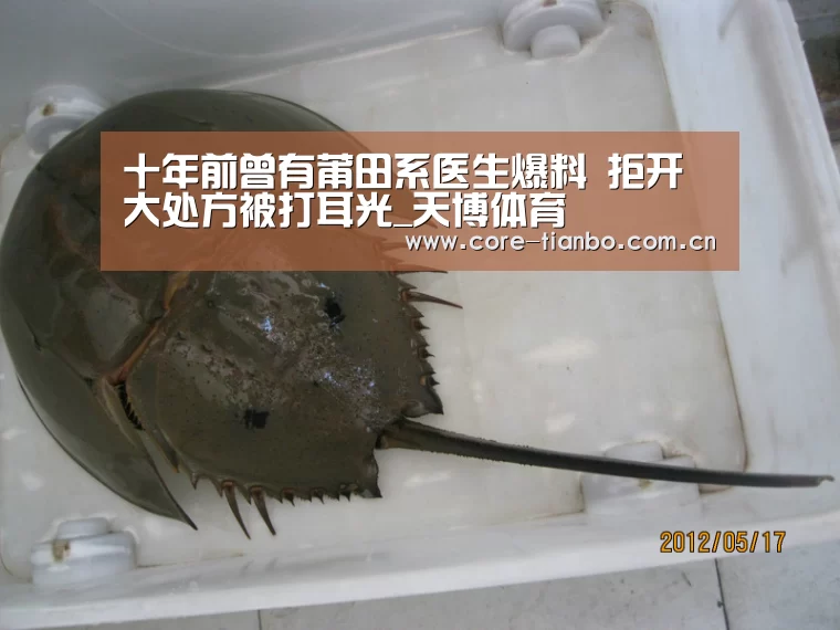 十年前曾有莆田系医生爆料 拒开大处方被打耳光_天博体育(图3) 天博体育下载
