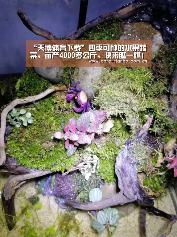 天博官网