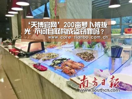 天博体育下载