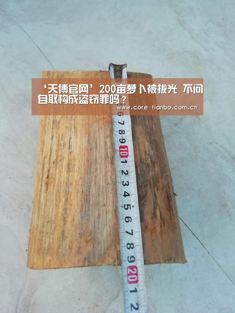 天博体育赛事