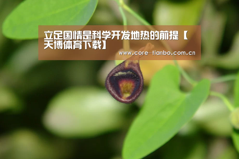 天博体育赛事
