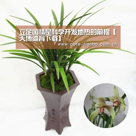 天博官网