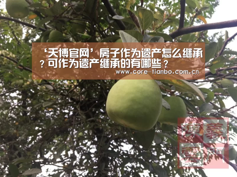 天博体育赛事