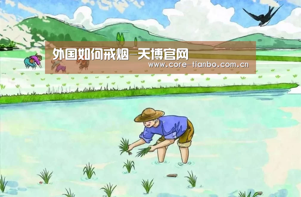 天博体育赛事