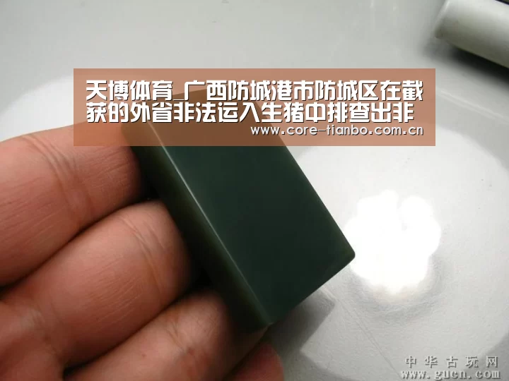 天博体育_广西防城港市防城区在截获的外省非法运入生猪中排查出非洲猪瘟疫情(图3) 天博体育赛事