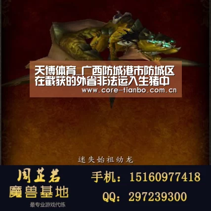 天博体育_广西防城港市防城区在截获的外省非法运入生猪中排查出非洲猪瘟疫情